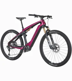 Porsche Design Porsche Ebike Cross Performance Exc Sternrubin Neo Outlet