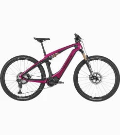 Porsche Design Porsche Ebike Cross Performance Exc Sternrubin Neo Outlet