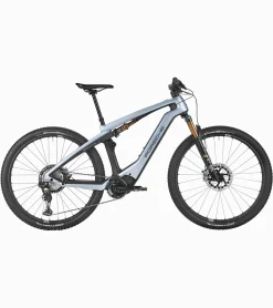 Porsche Design Porsche Ebike Cross Performance Silber Hot